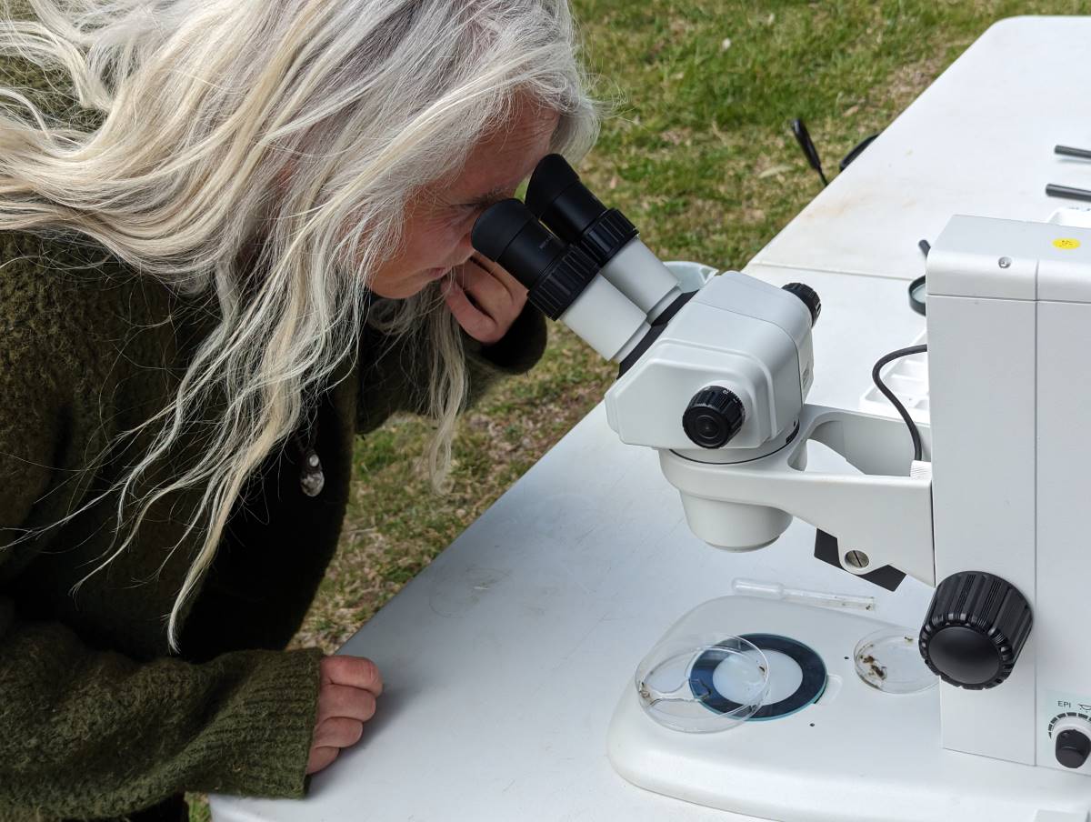 art and science at the painted river project