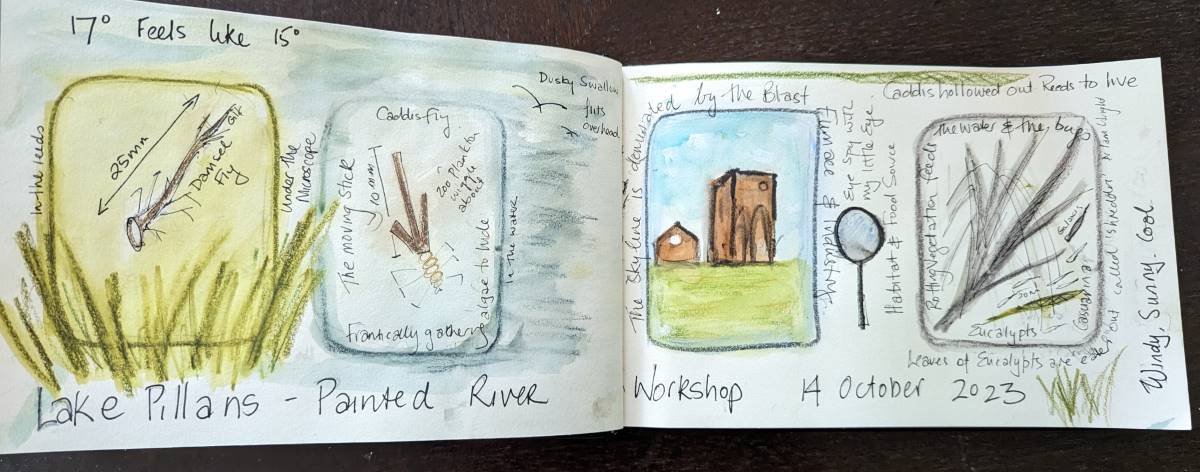 a nature journal of Painted River Project 2023