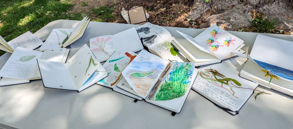 nature journals