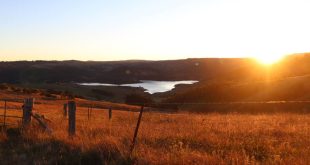 lake lyell is a good spot for nature journalling