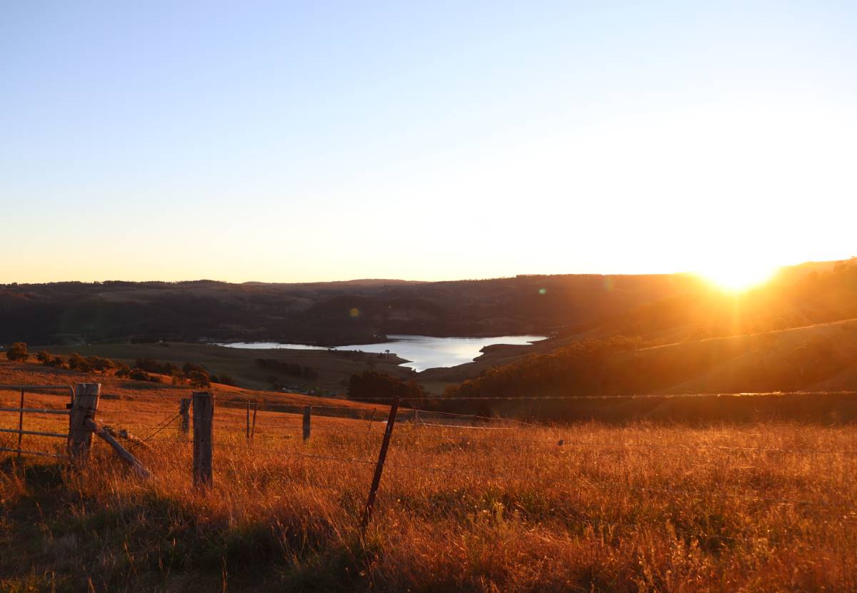 nature view - lake lyell near lithgow