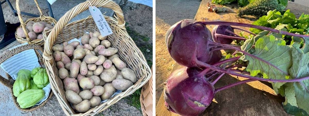 lithgow farmers market produce